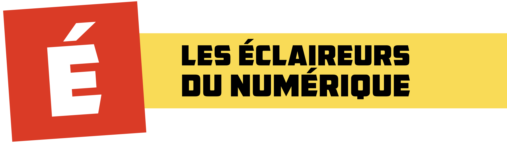 Les éclaireurs du numérique logo